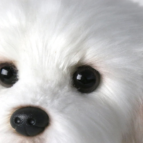  Maltese Dog Plush cashymart