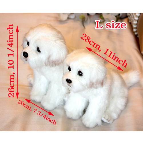  Maltese Dog Plush cashymart