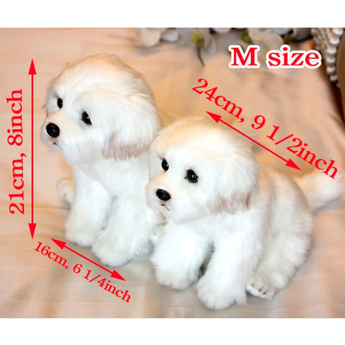  Maltese Dog Plush cashymart