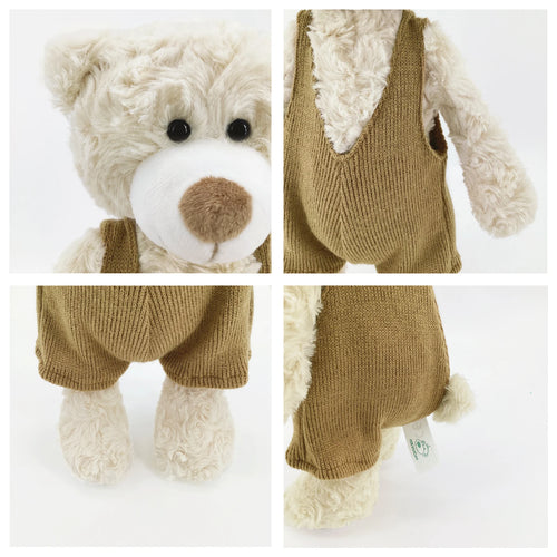  Mr. Vivicare Bear cashymart