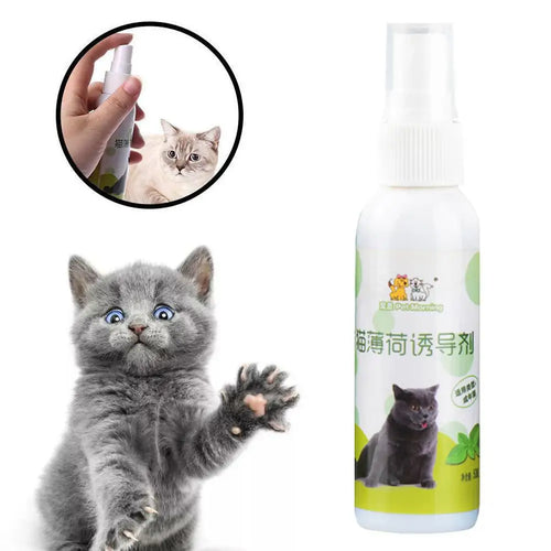 Natural Catnip Spray cashymart