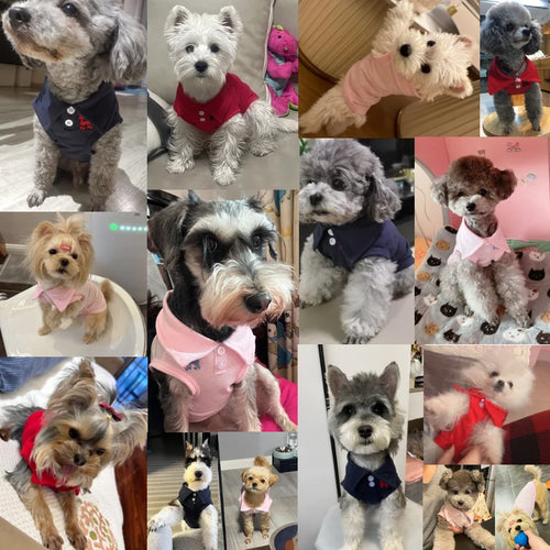  New Pet Dog Polo Shirt for Small Dogs cashymart