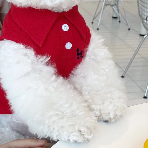  New Pet Dog Polo Shirt for Small Dogs cashymart