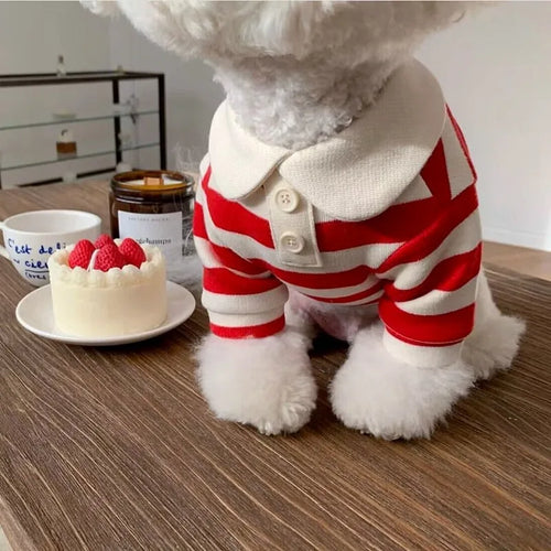  New Pet Dog Polo Shirt for Small Dogs cashymart
