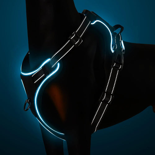  No-Pull Dog Harness cashymart