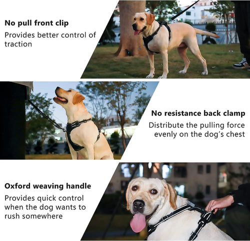  No-Pull Dog Harness cashymart