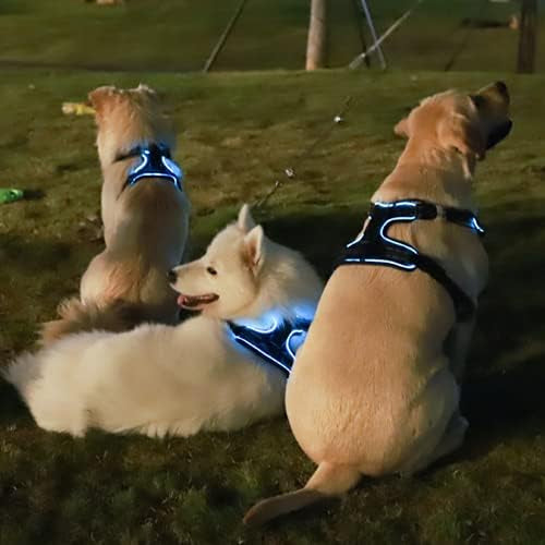  No-Pull Dog Harness cashymart