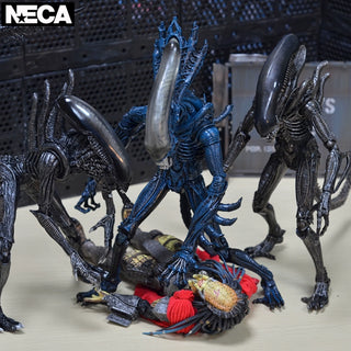  NECA Nexus Ops Iron Warrior: Hand-Made Alien Doll cashymart