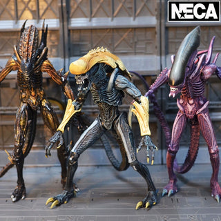  NECA Nexus Ops Iron Warrior: Hand-Made Alien Doll cashymart