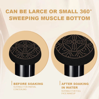  Ocheal BB Cream Air Cushion Makeup Foundation cashymart