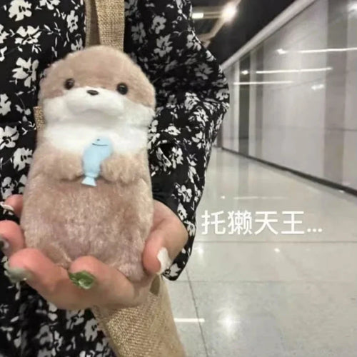  Otter Plush Toy cashymart
