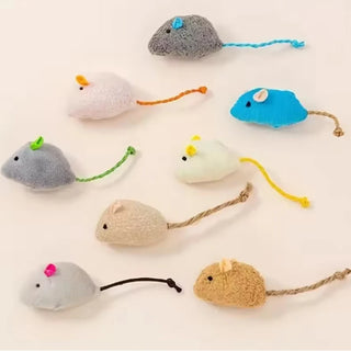 cashymart