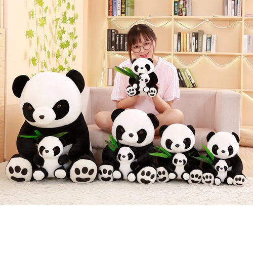  Panda Teddy Bear cashymart