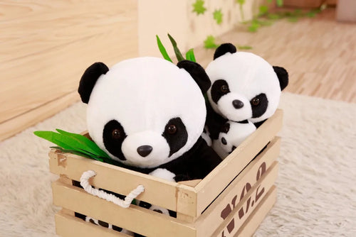  Panda Teddy Bear cashymart