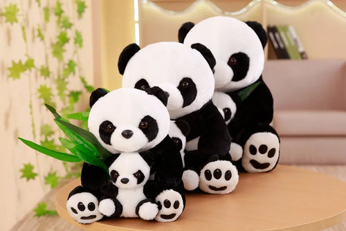  Panda Teddy Bear cashymart