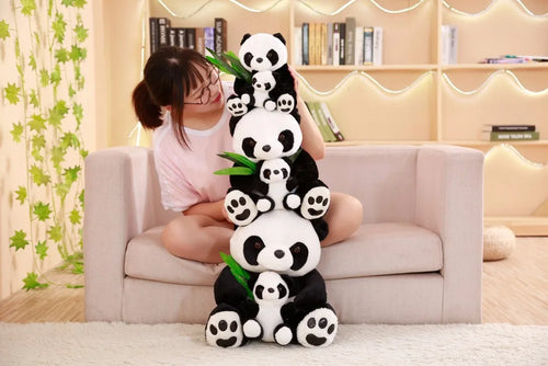  Panda Teddy Bear cashymart