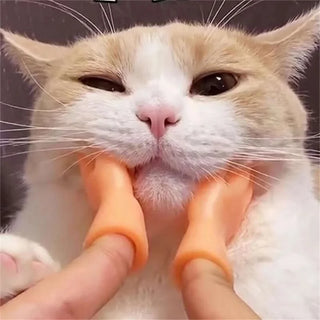  Paw-some Mini Silicone Cat Massage Gloves cashymart