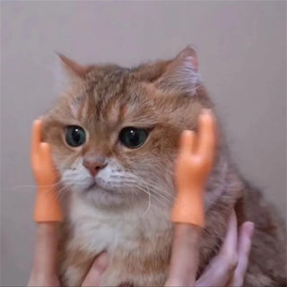  Paw-some Mini Silicone Cat Massage Gloves cashymart