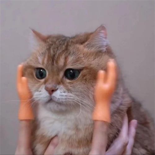  Paw-some Mini Silicone Cat Massage Gloves cashymart