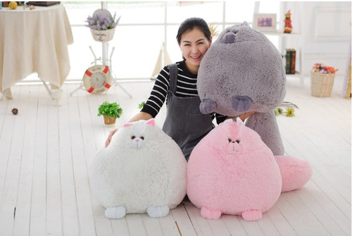  Persian Cat Plush cashymart