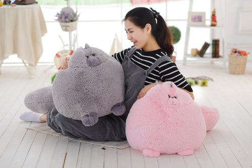  Persian Cat Plush cashymart