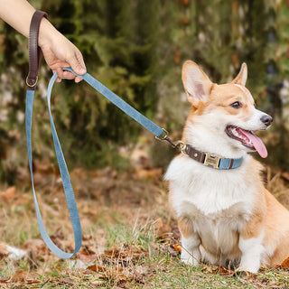  Personalized PU Leather Dog Collar and Leash cashymart