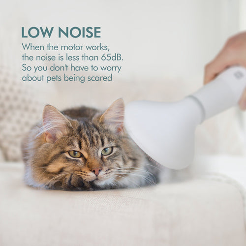  Pet Dog Hair Dryer Grooming Dryer Slicker Brush cashymart