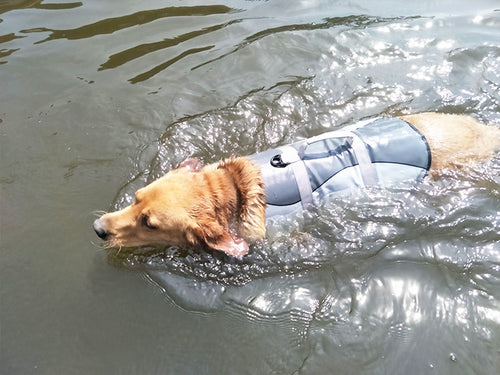  Pet Vest Life Jacket cashymart