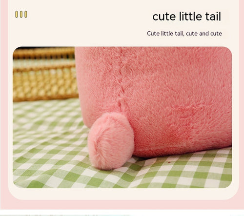  Pink Teddy Bear cashymart