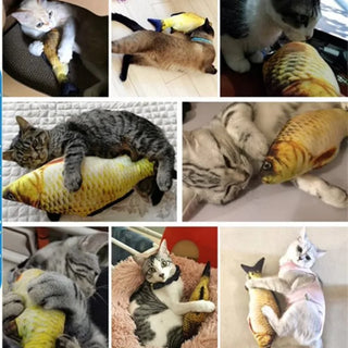  Plush Fish-Shaped Scratching Post Toy cashymart
