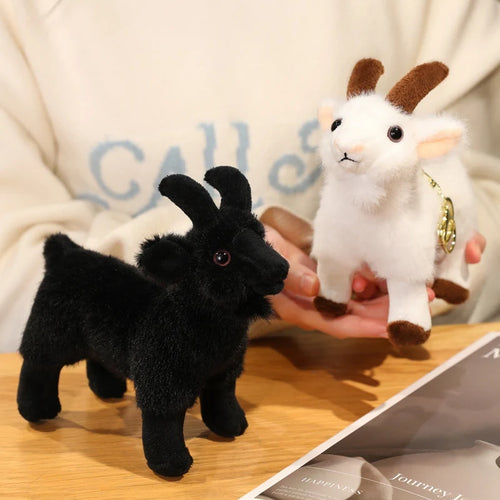  Plush Goats cashymart
