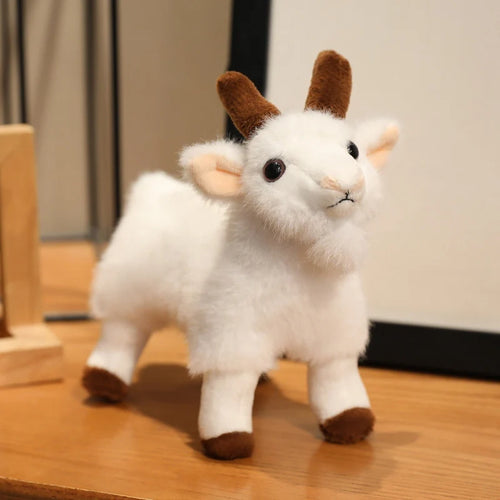  Plush Goats cashymart