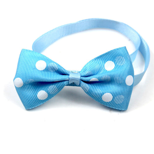  Polka Dot Bow Webbing Pet Accessories cashymart