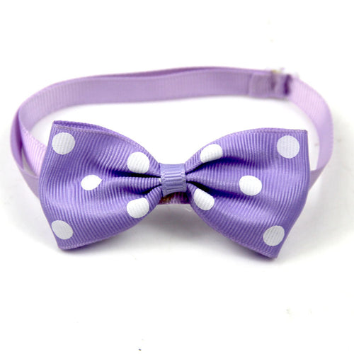 Polka Dot Bow Webbing Pet Accessories cashymart
