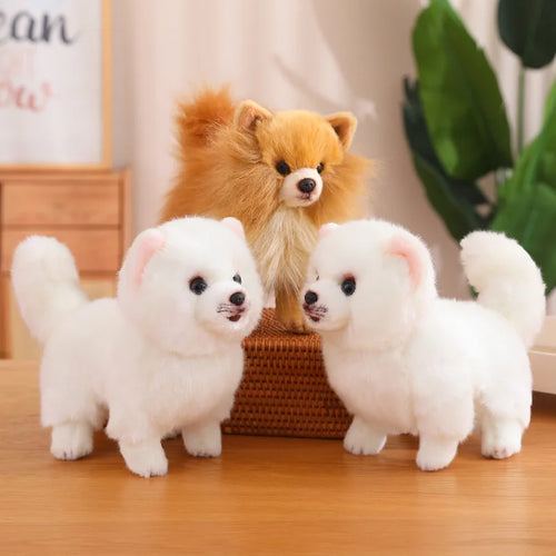  Pomeranian Plush Toy cashymart