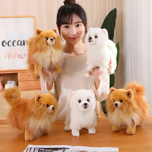  Pomeranian Plush Toy cashymart