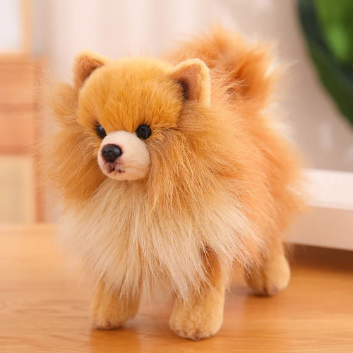  Pomeranian Plush Toy cashymart