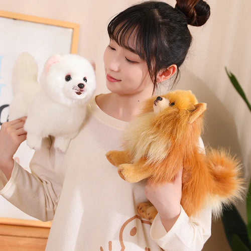  Pomeranian Plush Toy cashymart