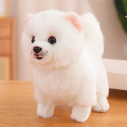  Pomeranian Plush Toy cashymart