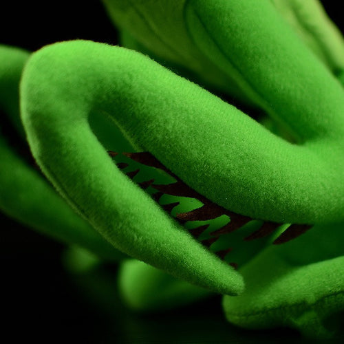  Praying Mantis Plush cashymart
