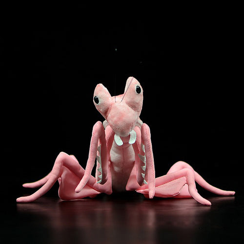 Praying Mantis Plush cashymart