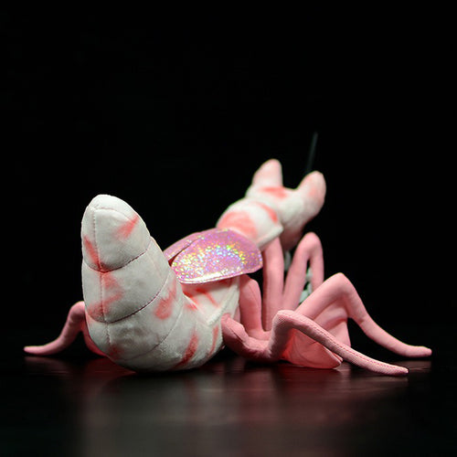  Praying Mantis Plush cashymart