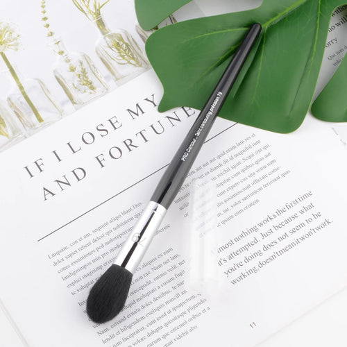  Pro Makeup Brushes with Black Handle cashymart