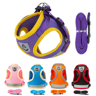  Puppy Harness and Leash Set for Small Dogs cashymart