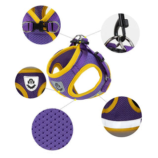  Puppy Harness and Leash Set for Small Dogs cashymart