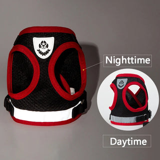  Puppy Harness and Leash Set for Small Dogs cashymart