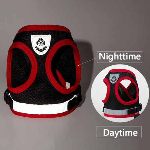  Puppy Harness and Leash Set for Small Dogs cashymart