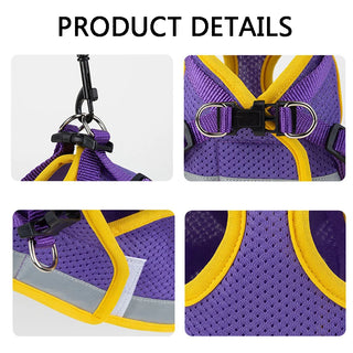  Puppy Harness and Leash Set for Small Dogs cashymart