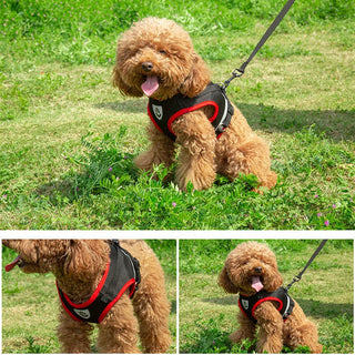  Puppy Harness and Leash Set for Small Dogs cashymart