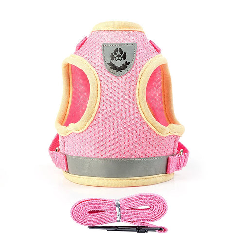  Puppy Harness and Leash Set for Small Dogs cashymart